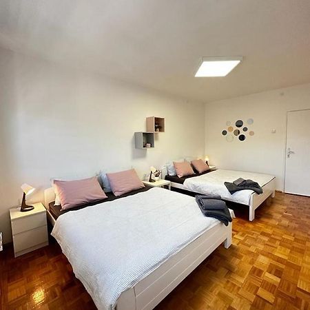 Appartamento Family Apartman Donji Milanovac Esterno foto